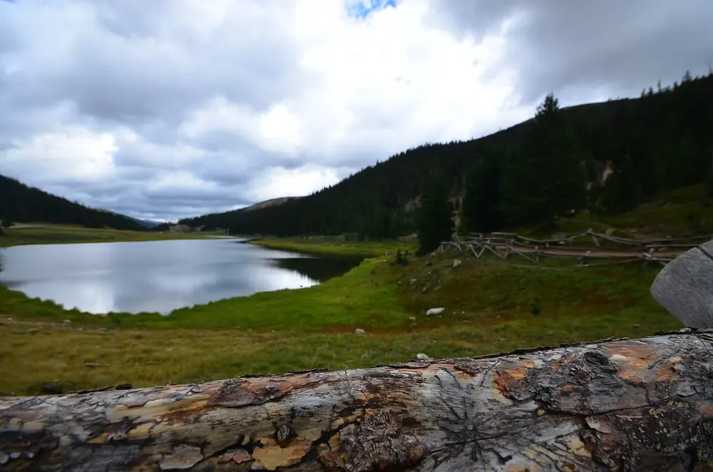 Milner Pass an der Kontinentalen Wasserscheide: kleiner Bergsee im Tal zwischen bewaldeten Hängen unter Wolken