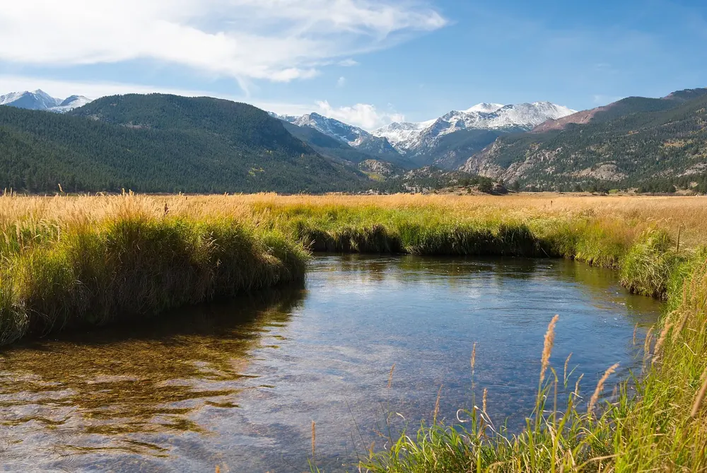 Moraine Park: Bach mit goldenem Ufergras in der weiten Talwiese, dahinter bewaldete Hänge und verschneite Gipfel
