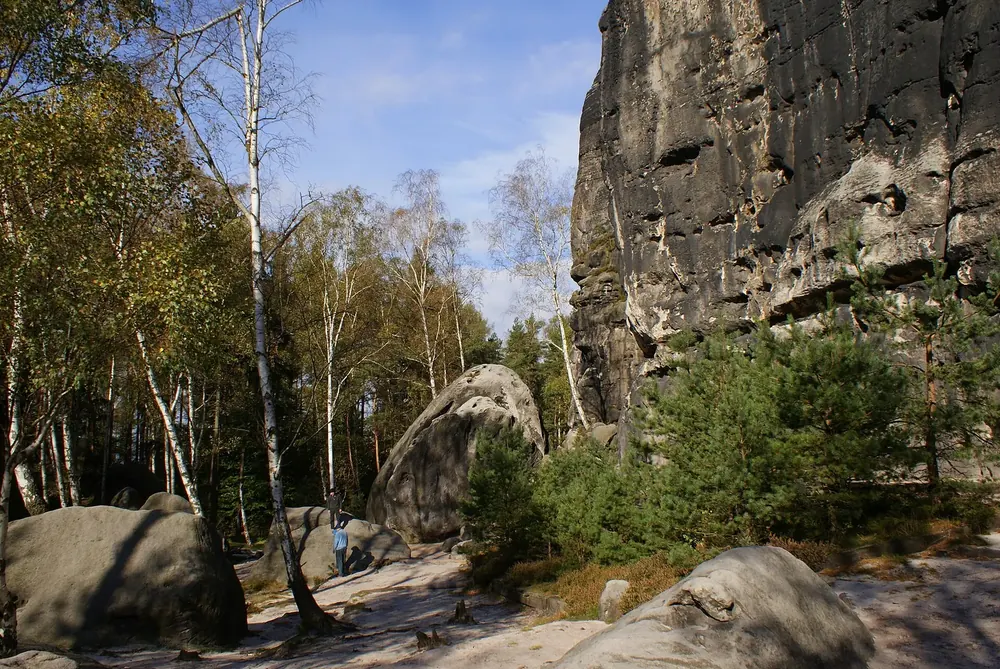 Kletterfelsen Falkenstein: senkrechte Sandsteinwand mit Felsblöcken am Fuß, umgeben von Birken und Kiefern