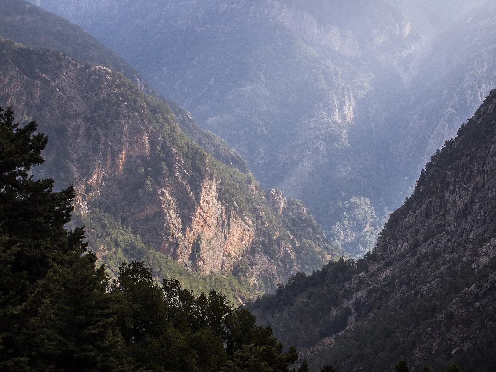 Blick von Xyloskalo am Nordeingang in die Samaria-Schlucht: steile Felswände und bewaldete Hänge im Dunst