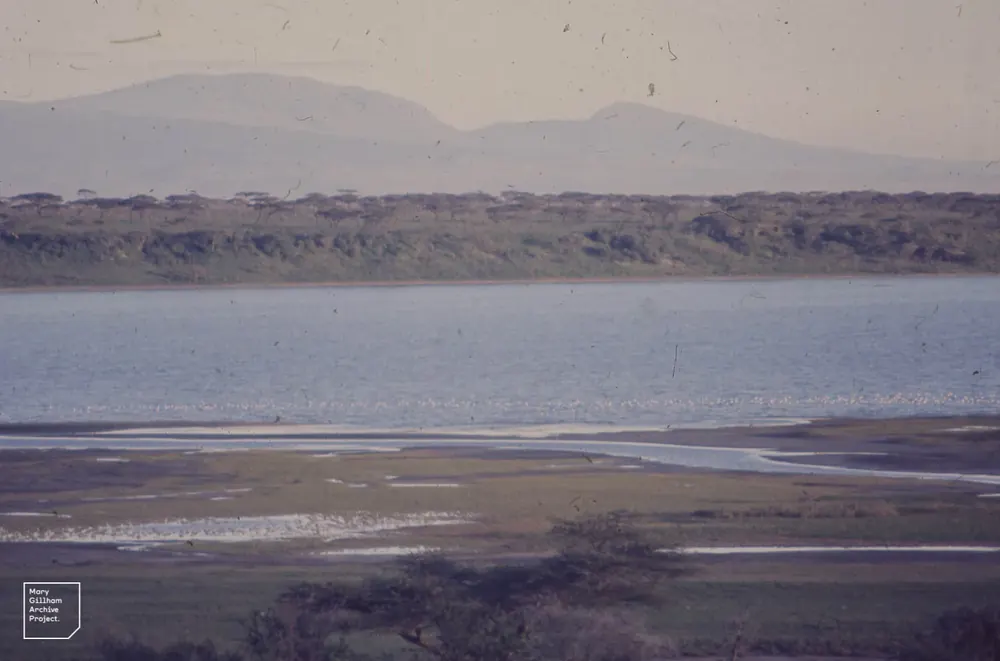 Lake Ndutu: flacher See mit schlammigem Ufer und hellen Flamingoschwärmen, dahinter Buschland und Hügel
