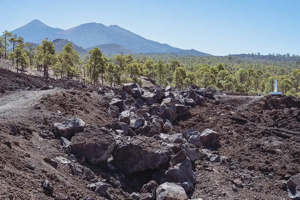 Blick vom Mirador de Chío über Lavabrocken und Kiefernwald zum Teide und Pico Viejo