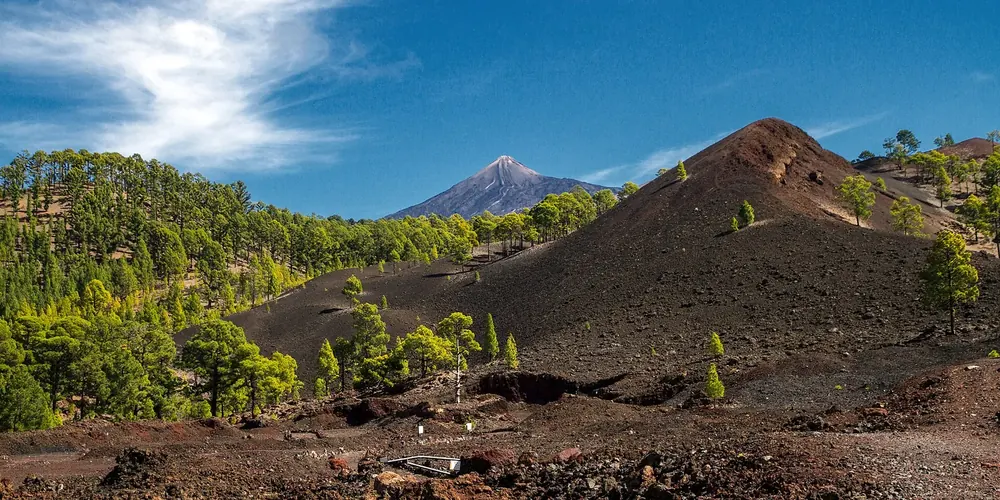 Montaña Sámara: dunkler Vulkankegel aus Lavaschlacke mit Kanarenkiefern, dahinter der Pico del Teide