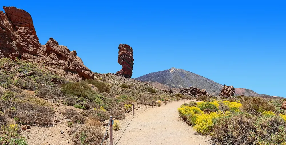 Roques de García mit Roque Cinchado, dahinter der Teide, vorn ein Wanderweg und gelb blühender Ginster