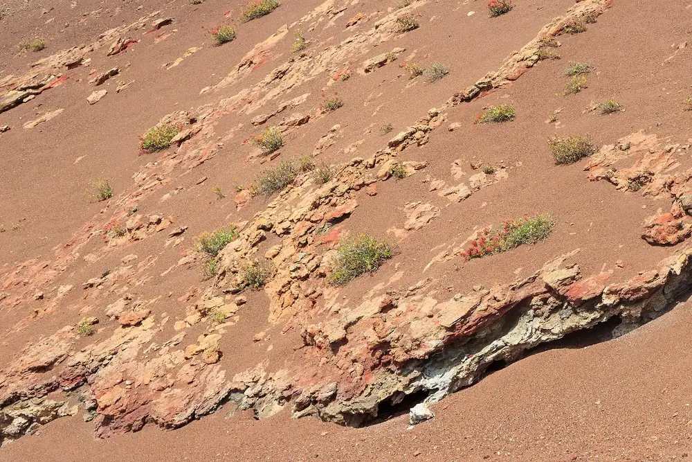 Südhang der Montaña de Timanfaya: rötliche Lavaschichten mit hellen hydrothermalen Ablagerungen und vereinzelten Pflanzen