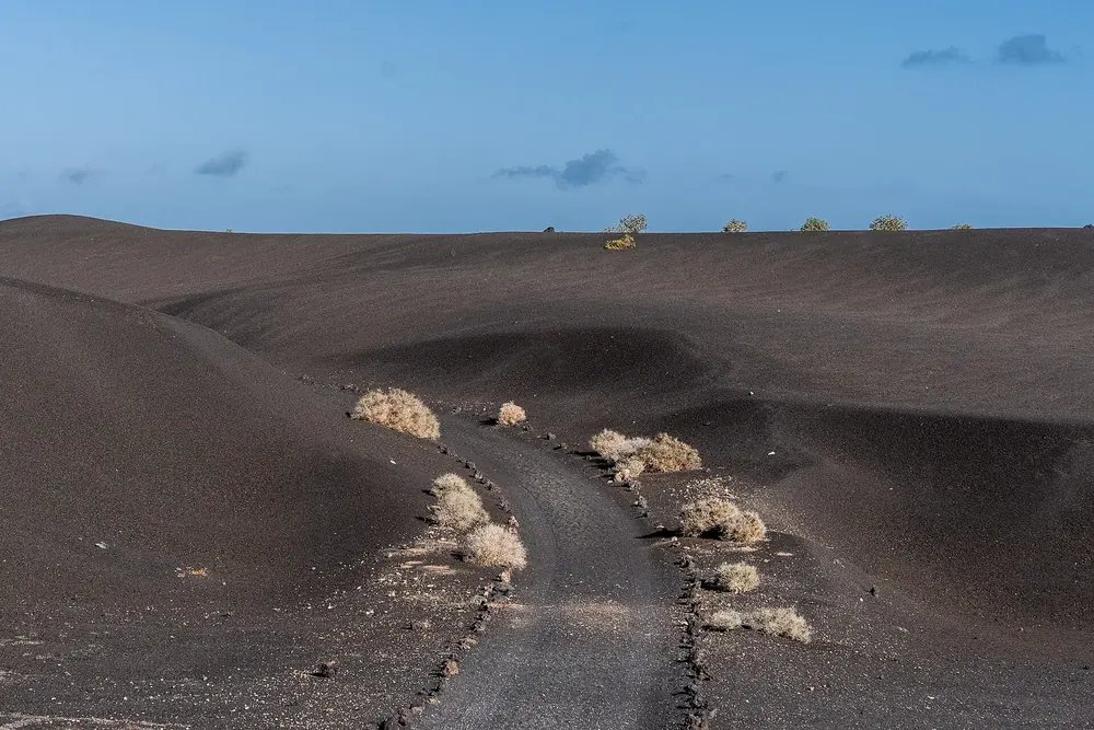 Tremesana-Wanderweg: schmaler Pfad durch schwarze Lapilli-Felder mit vereinzelten Sträuchern im Timanfaya-Nationalpark