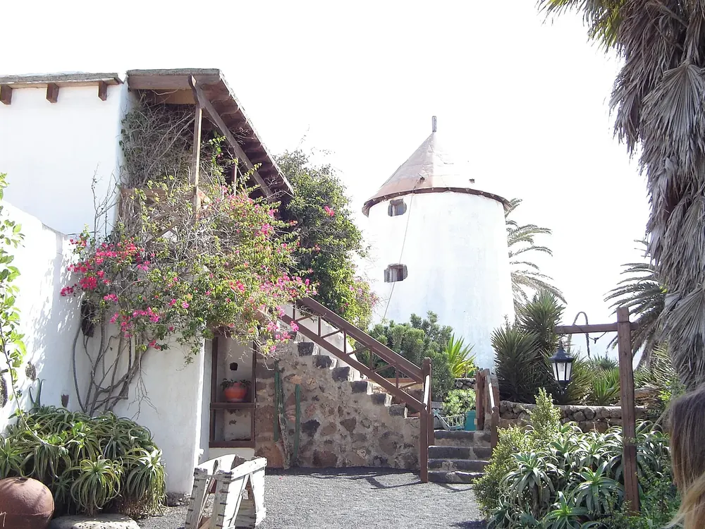 Museum in Tinajo: weißes Gebäude mit Holztreppe, Bougainvillea und einer alten Windmühle zwischen Palmen