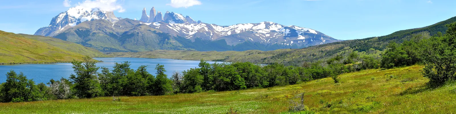 Panorama über die Laguna Azul im Nationalpark Torres del Paine auf das verschneite Paine-Massiv, vorn Wiese und Lenga-Wald