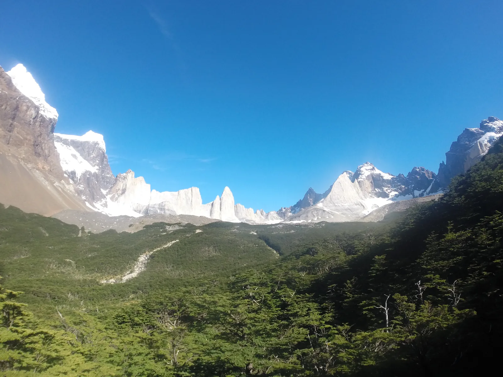 Blick vom Mirador Británico im Nationalpark Torres del Paine auf das Felsrund des Valle del Francés, unten Lenga-Wald