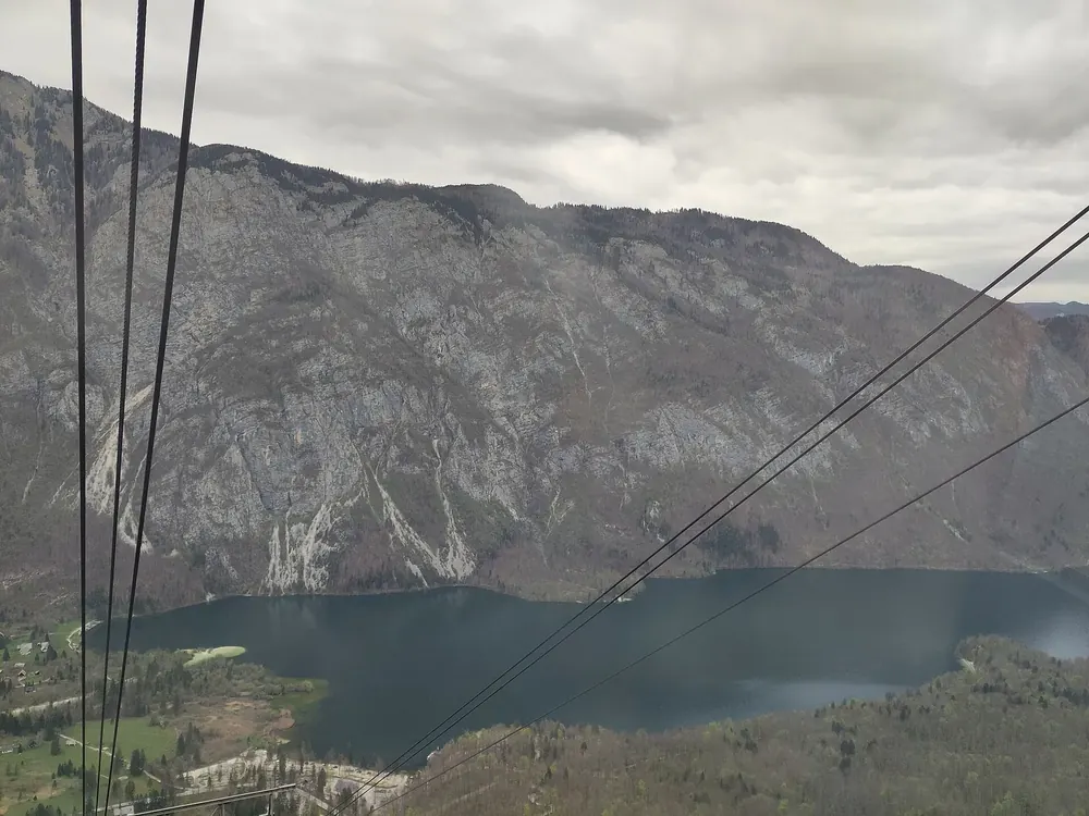 Blick aus der Seilbahn Vogel hinab auf den Bohinjer See zwischen bewaldeten Berghängen, im Bild die Tragseile