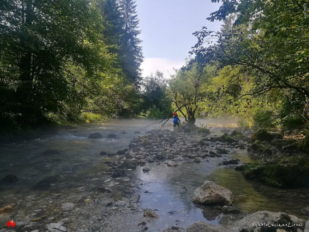 Blick in die Vintgar-Klamm: klarer grüner Wildbach zwischen Felsen und dichtem Laubwald, rechts der Holzsteg
