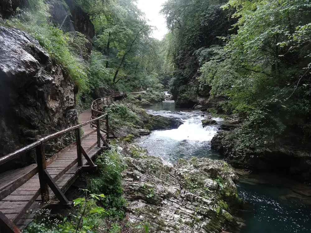 Vintgar-Klamm: Holzsteg an der Felswand über dem türkisfarbenen Wildbach Radovna im Laubwald