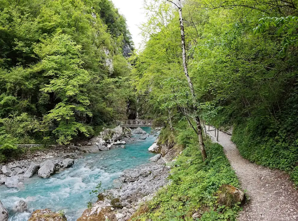 Tolminer Klamm: türkisfarbener Wildbach zwischen Felsblöcken, daneben ein Wanderweg durch dichten grünen Wald