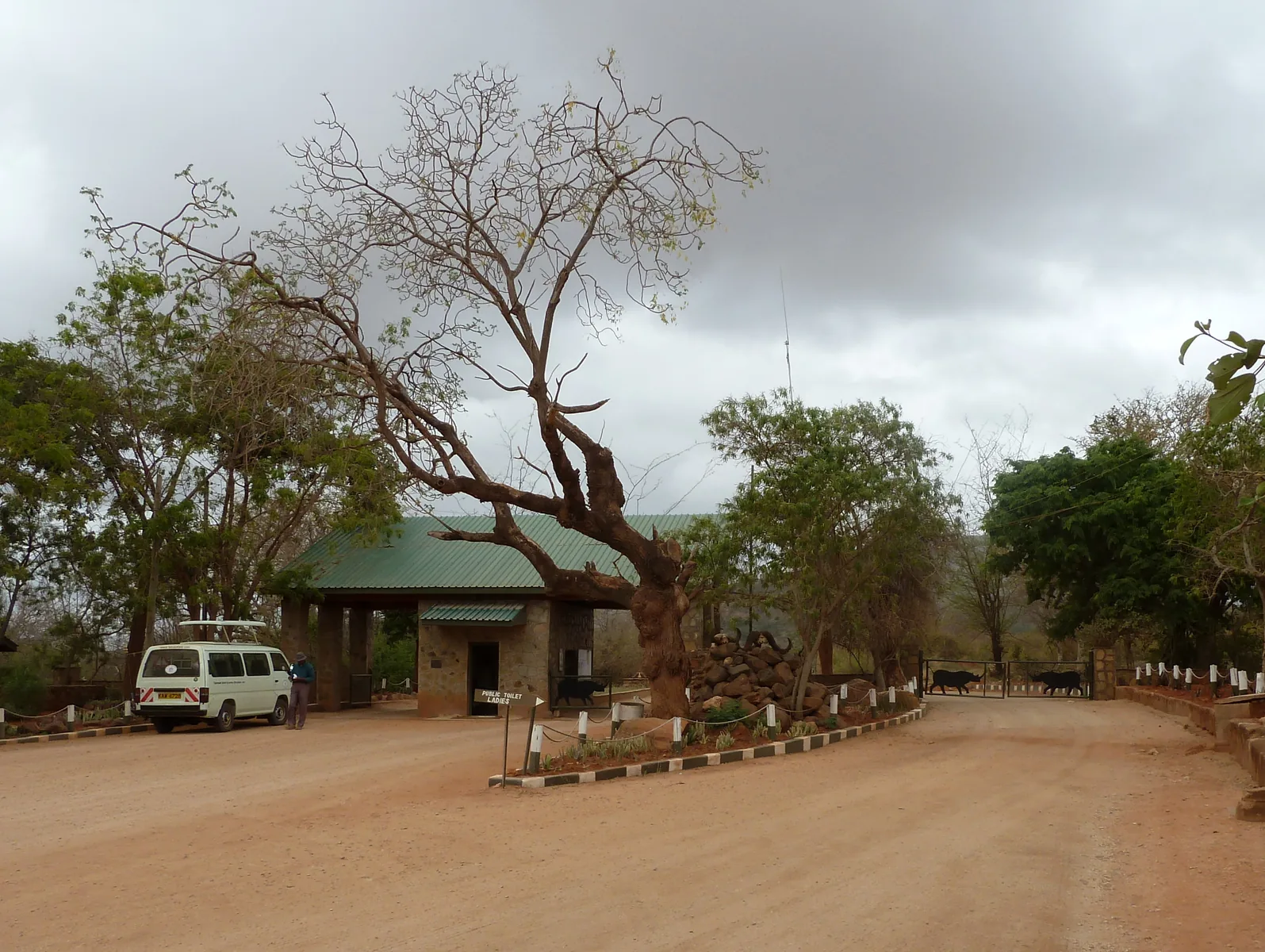 Die Zufahrt am Voi Gate von Tsavo East mit grün gedecktem Torhaus, weißem Kleinbus und Schranke unter einem großen Baum