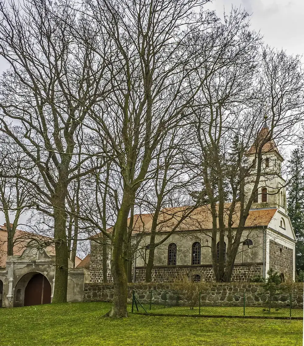 Dorfkirche Gellmersdorf: Feldsteinkirche mit Turm hinter kahlen Bäumen und einer Rasenfläche