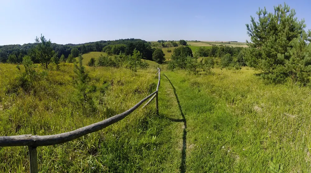 Ausblick vom Seeberg in Mescherin: Trockenrasen mit Holzgeländer, Kiefern und weite Hügellandschaft im Nationalpark
