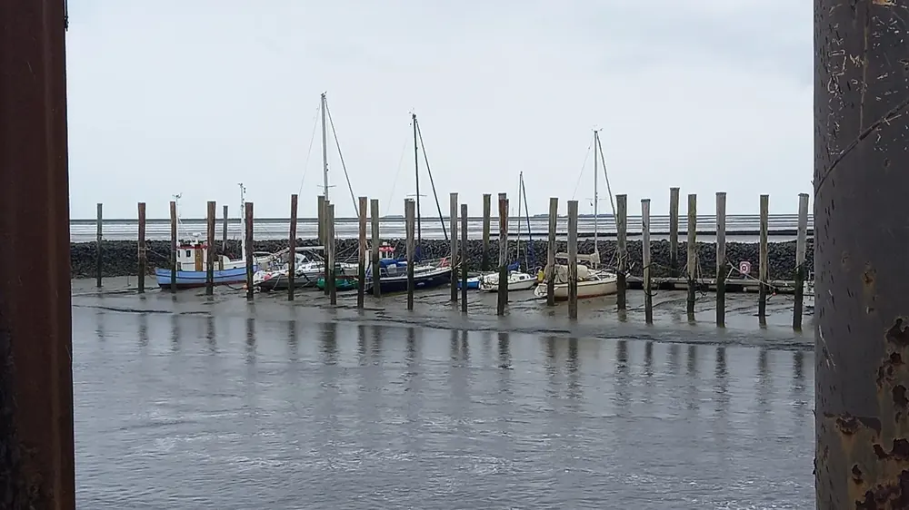 Hafen Schlüttsiel: trockengefallene Boote an Holzpfählen bei auflaufender Flut, dahinter die Hafenmole