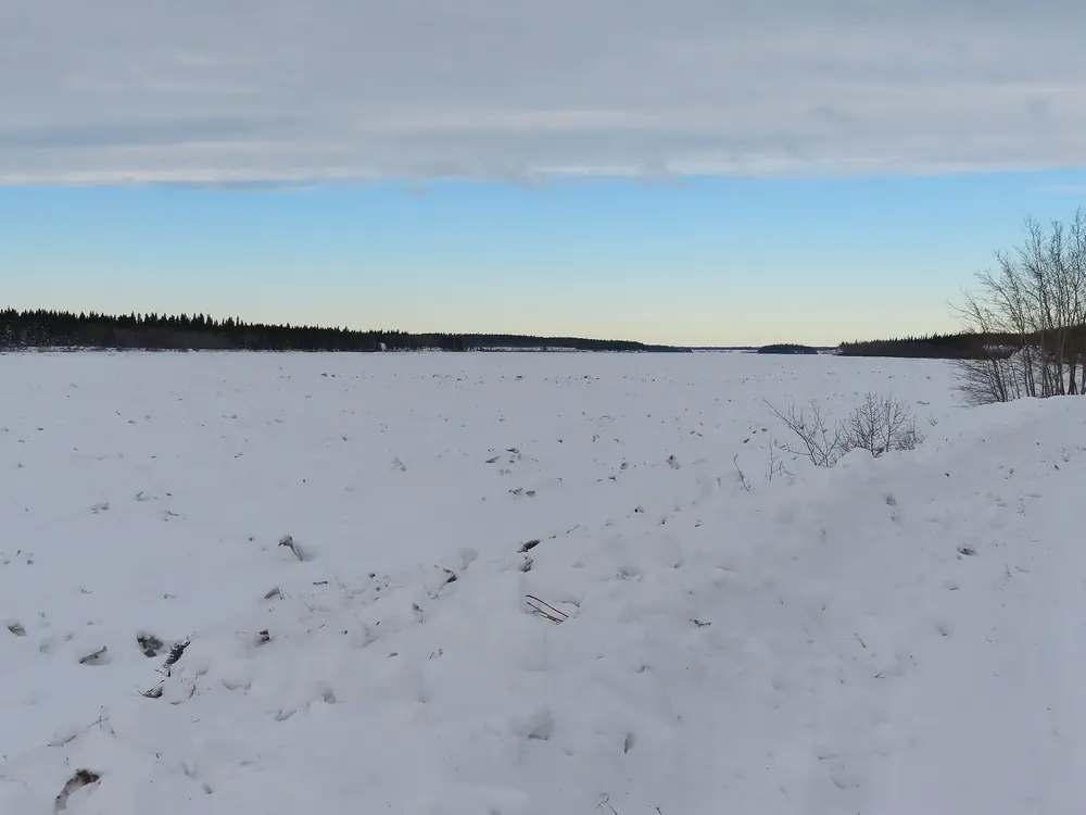Peace River bei Peace Point im Winter: zugefrorener, verschneiter Fluss zwischen flachen, bewaldeten Ufern