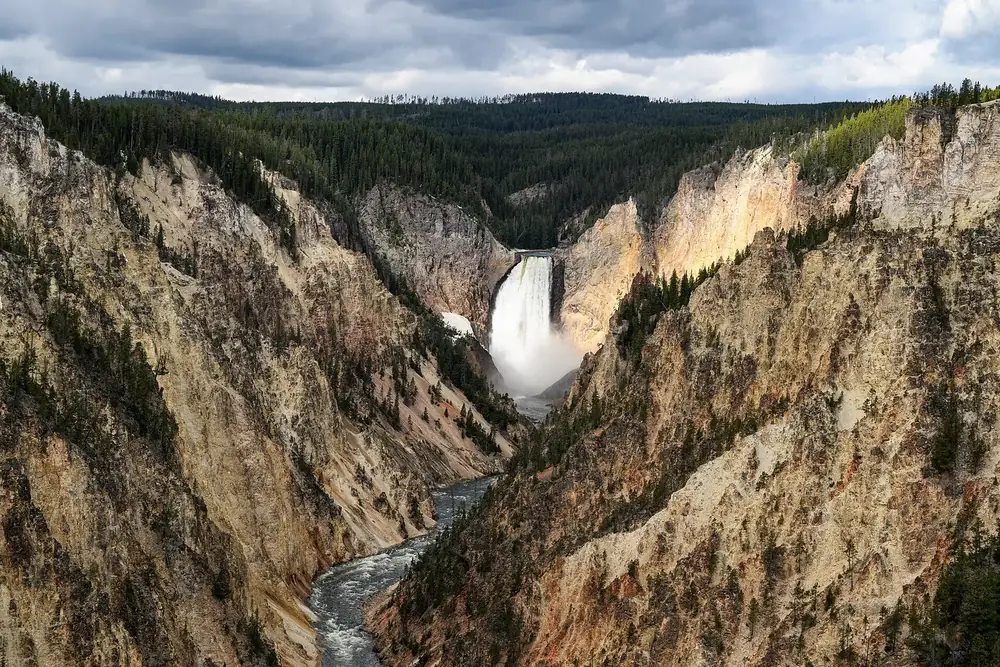 Blick vom Artist Point auf die Lower Falls in der tiefen, gelblich gefärbten Schlucht des Yellowstone River