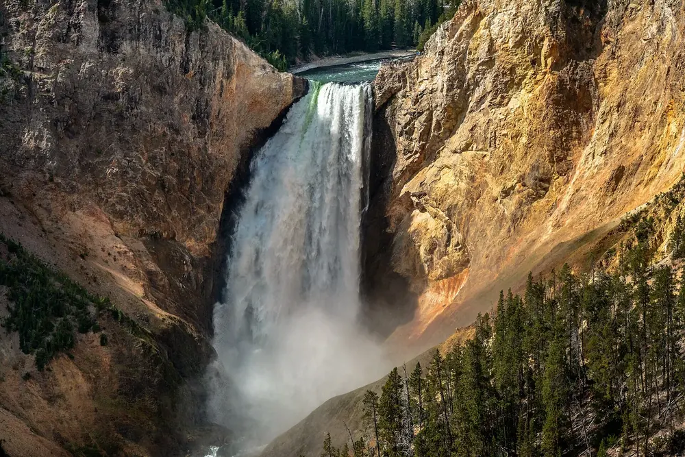 Lower Falls: der Yellowstone River stürzt in den gelb-orange gefärbten Grand Canyon of the Yellowstone
