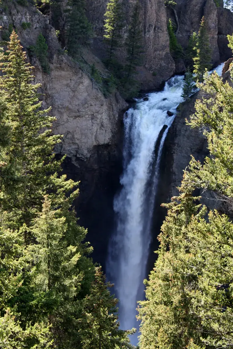 Tower Fall: Wasserfall stürzt zwischen Felsnadeln und Nadelbäumen in eine enge Schlucht