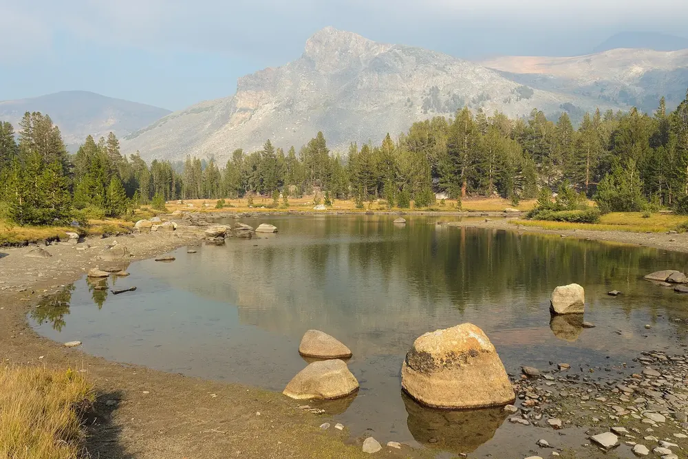 Kleiner Bergsee mit Felsblöcken nahe dem Tioga Pass, dahinter Nadelwald und kahle Berge
