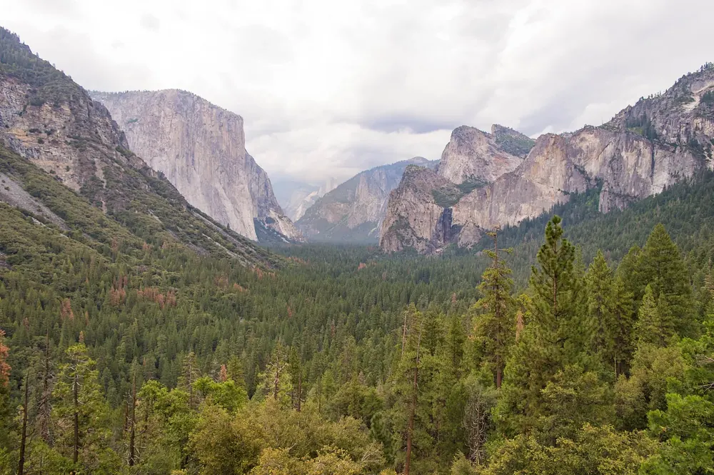 Tunnel View: Blick über das bewaldete Yosemite Valley auf El Capitan, Half Dome und die Cathedral Rocks