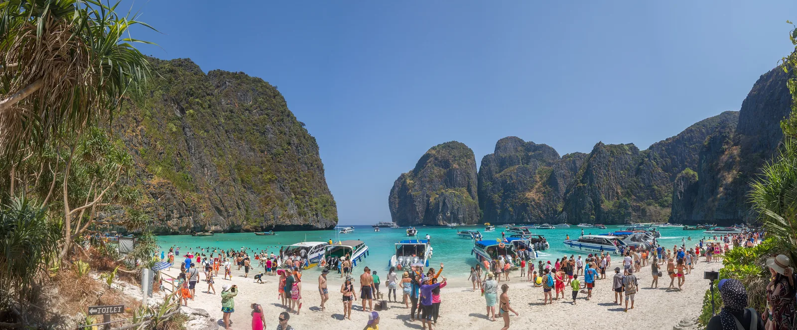 Panorama der Maya Bay im April 2016: dicht gedrängte Menschen am Strand und viele Boote vor den Kalkfelsen