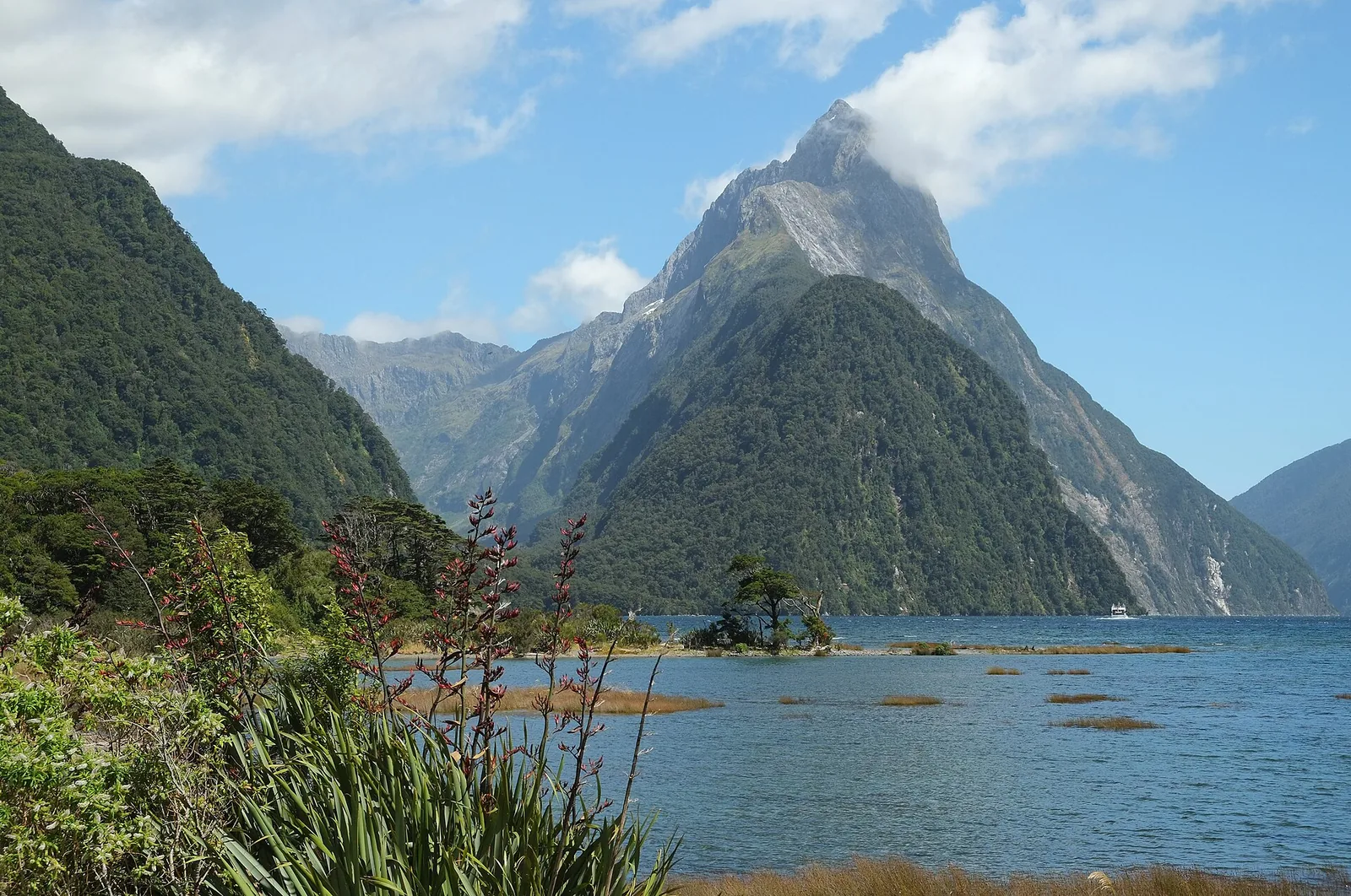 Der Mitre Peak über dem Milford Sound, im Vordergrund blühende Flachsstauden am Ufer, darüber blauer Himmel mit einer Wolke am Gipfel
