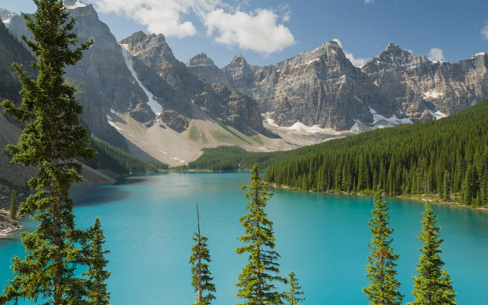 Türkisfarbener Moraine Lake zwischen Nadelbäumen vor den Felsgipfeln des Valley of the Ten Peaks