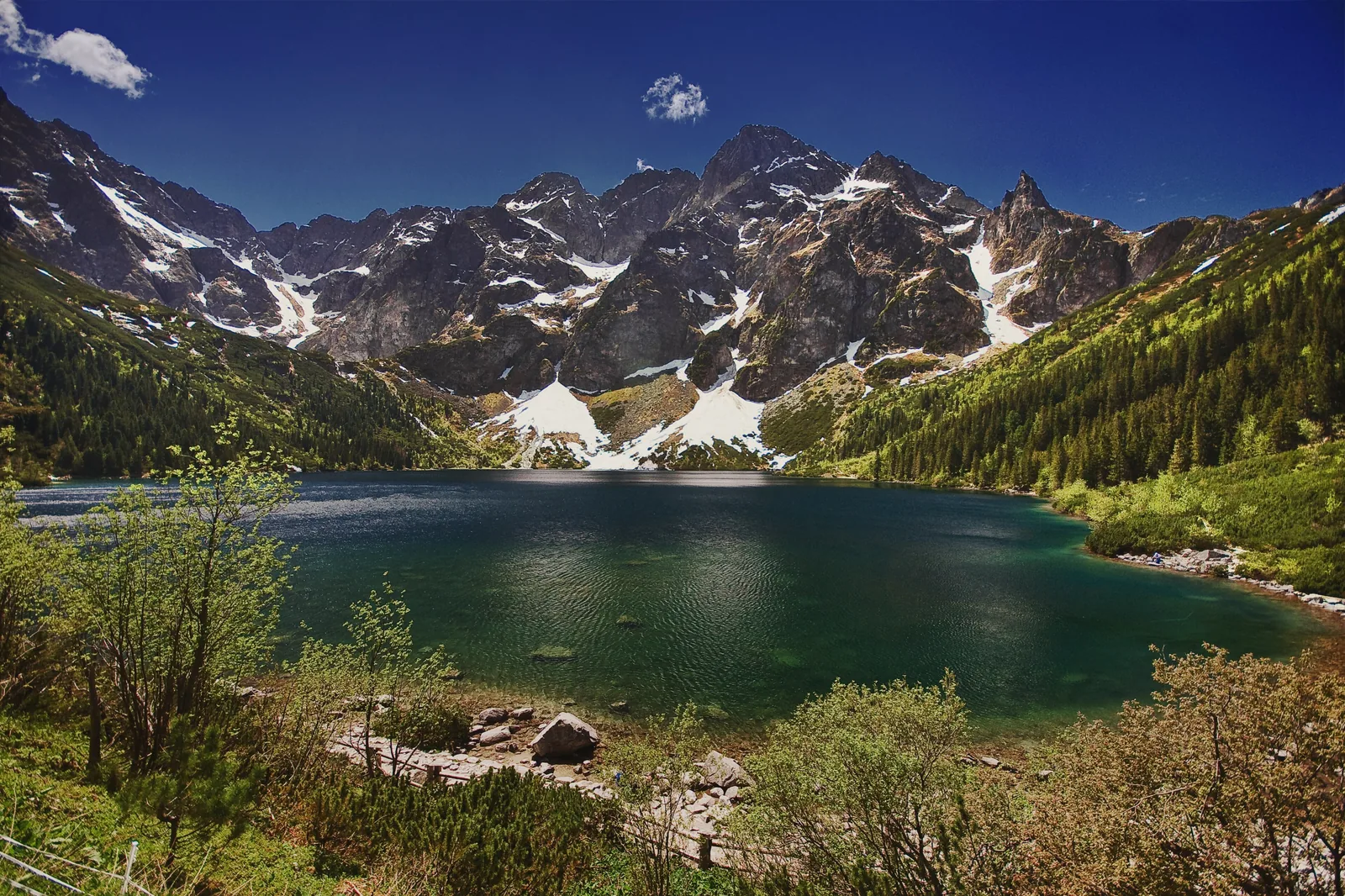 Der Morskie Oko von oben, dahinter die Mięguszowieckie Szczyty mit Schneefeldern, im Vordergrund Latschenkiefern