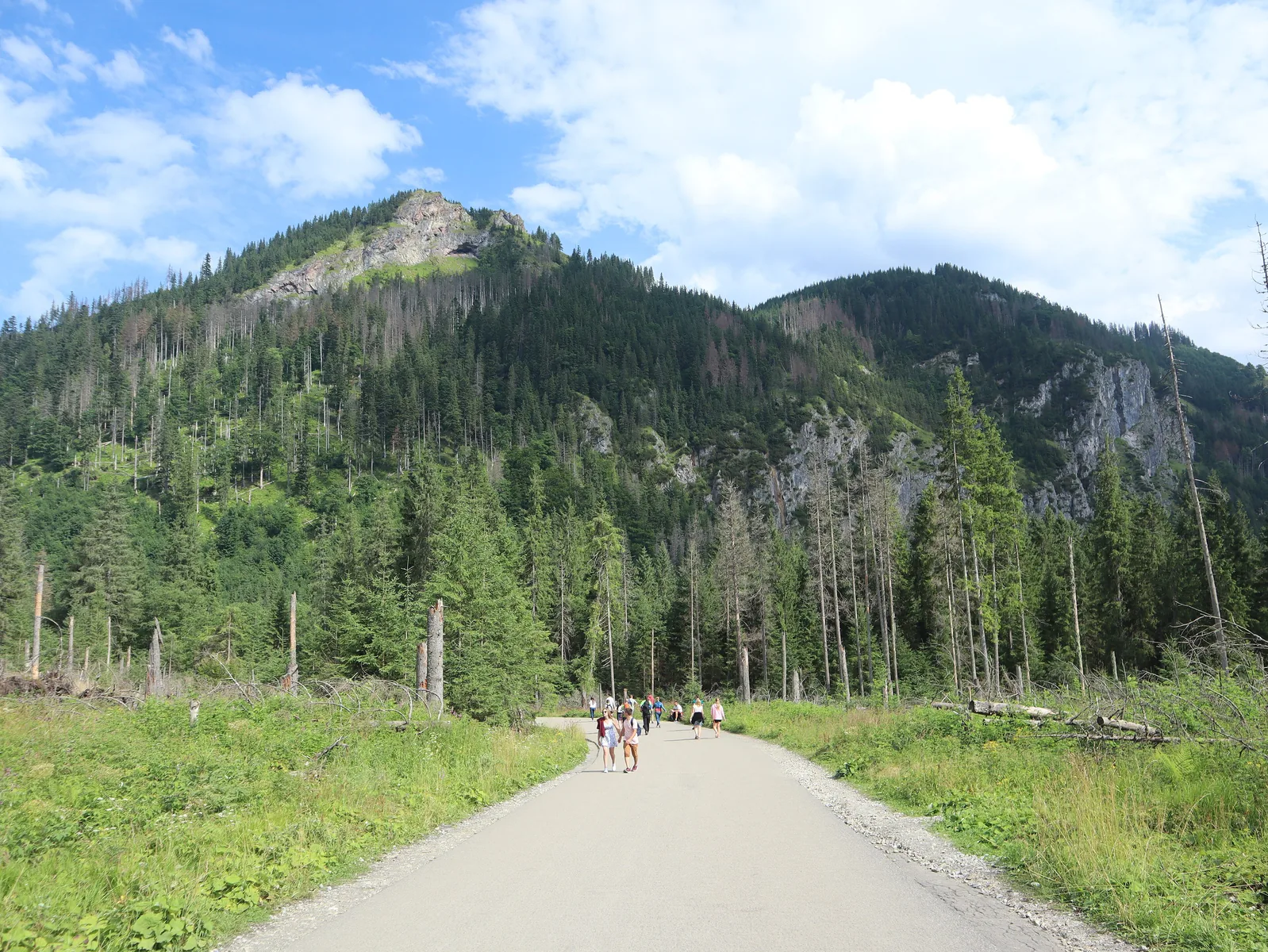 Die asphaltierte Straße zum Morskie Oko zwischen Palenica Białczańska und den Wodogrzmoty Mickiewicza, Wald zu beiden Seiten, Wanderer in der Ferne