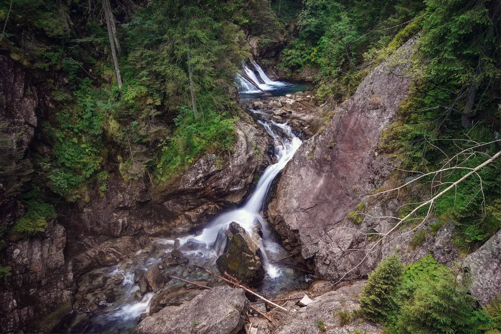 Die Wodogrzmoty Mickiewicza an der Straße zum Morskie Oko: ein Wasserfall über Felsstufen zwischen Fichten