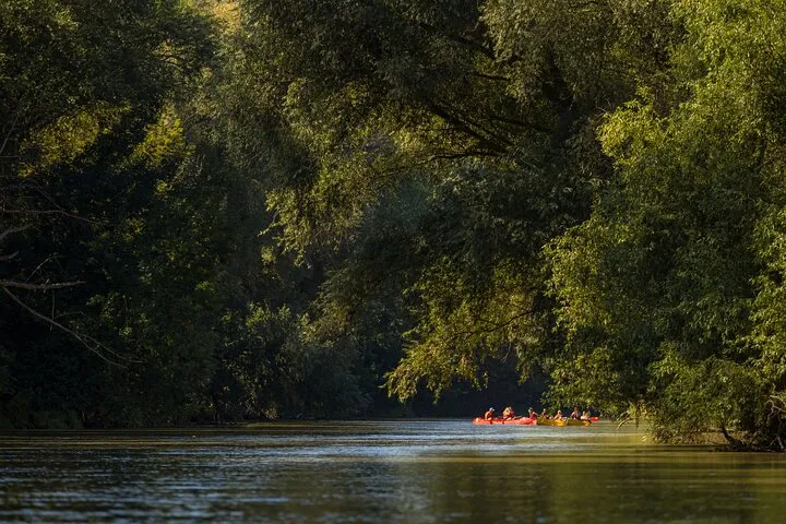 Angebotsfoto: Kanufahrt auf der Donau von Hainburg nach Bratislava