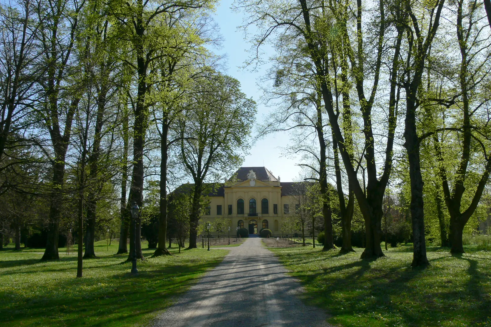 Eine Allee alter Bäume führt durch den Schlosspark auf Schloss Eckartsau zu, eine Sonderfläche im Nationalpark Donau-Auen