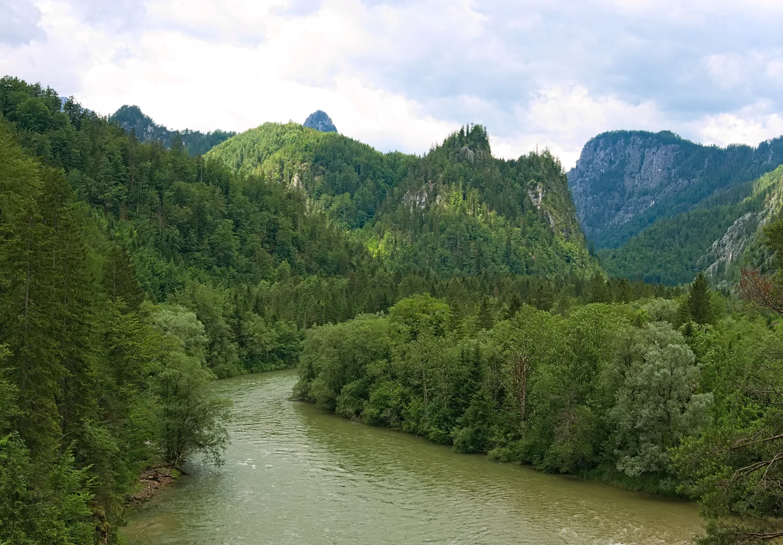 Die Enns fließt im Nationalpark Gesäuse zwischen bewaldeten Hängen, gesehen vom Aussichtspunkt am Ende des Leierwegs