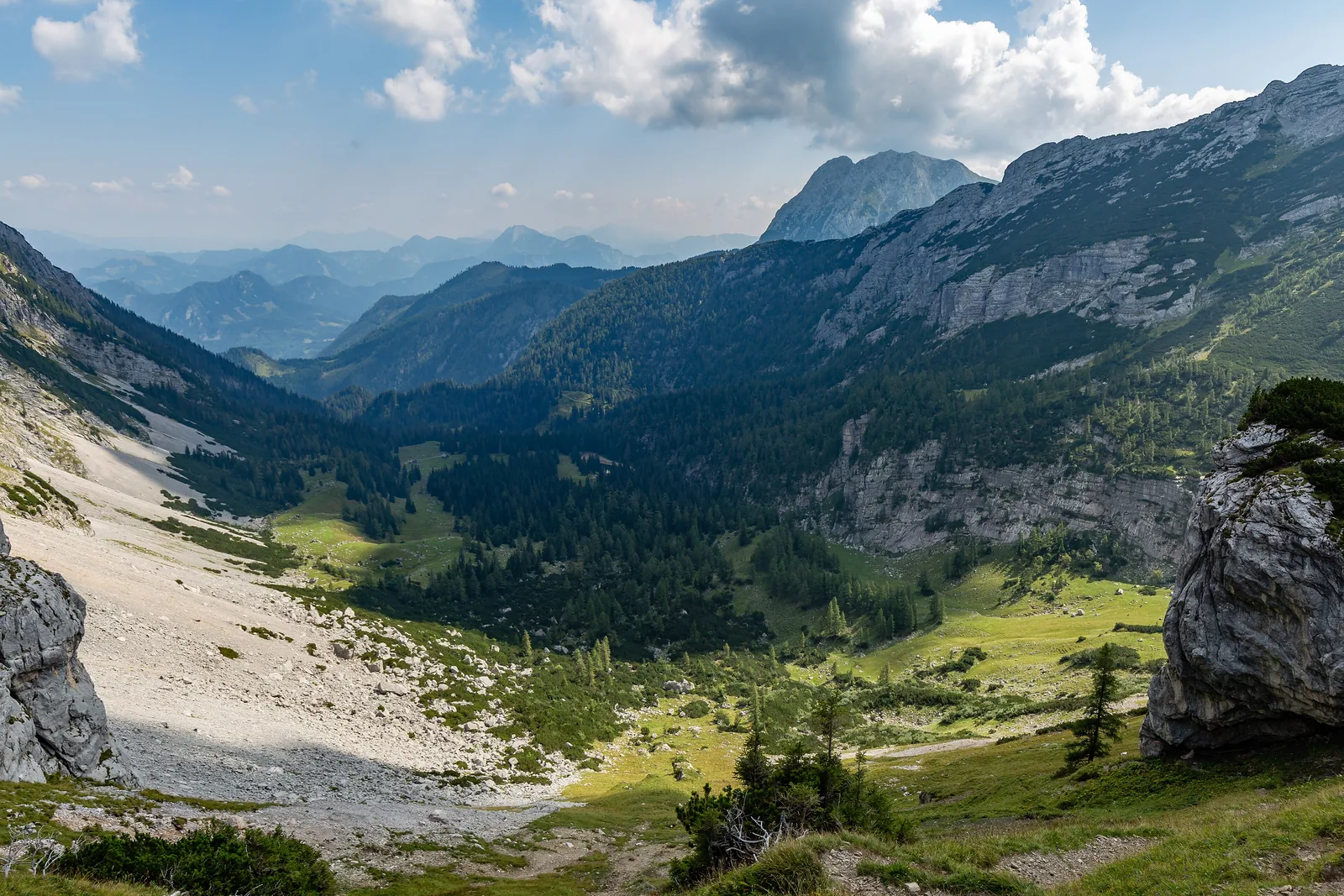 Blick über das Sulzkar im Nationalpark Gesäuse mit Schuttrinne, Latschen und Almwiesen vor Kalkgipfeln