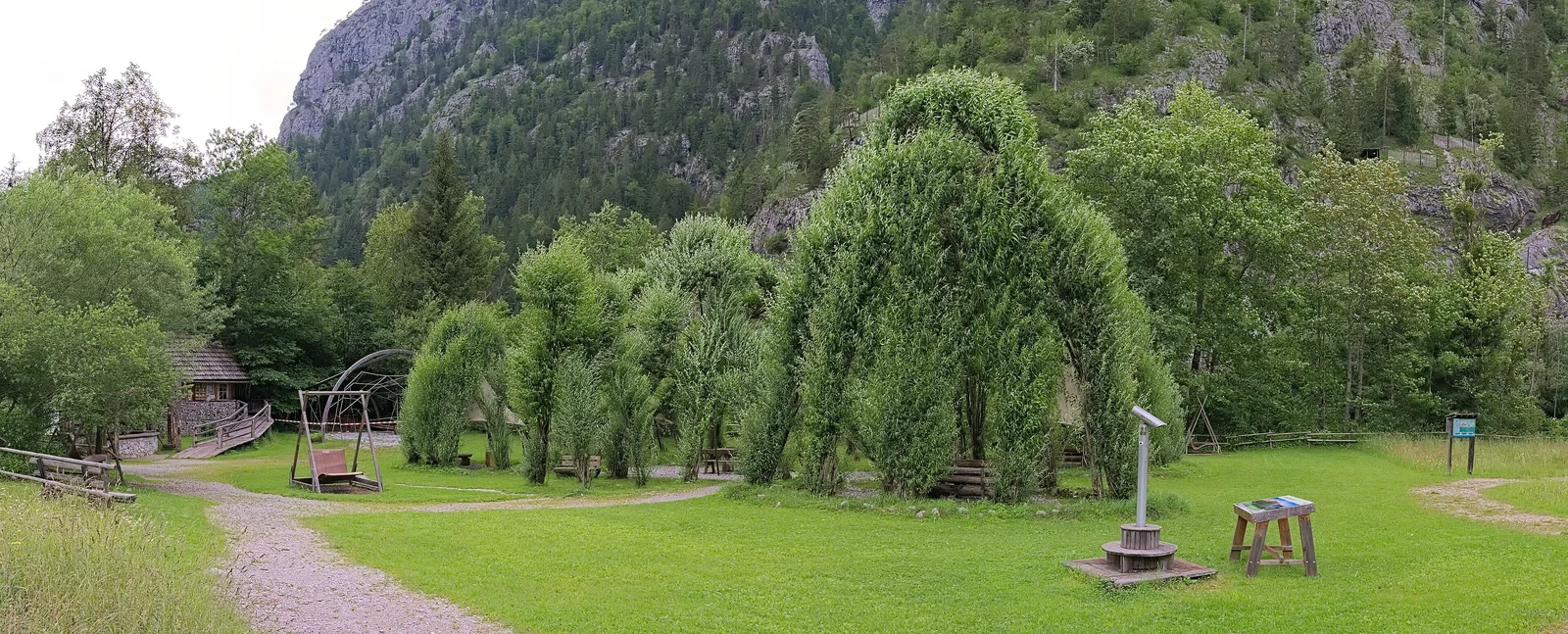 Der Weidendom im Nationalpark Gesäuse: grüne Weidenbögen auf einer Wiese, dahinter bewaldete Felsberge