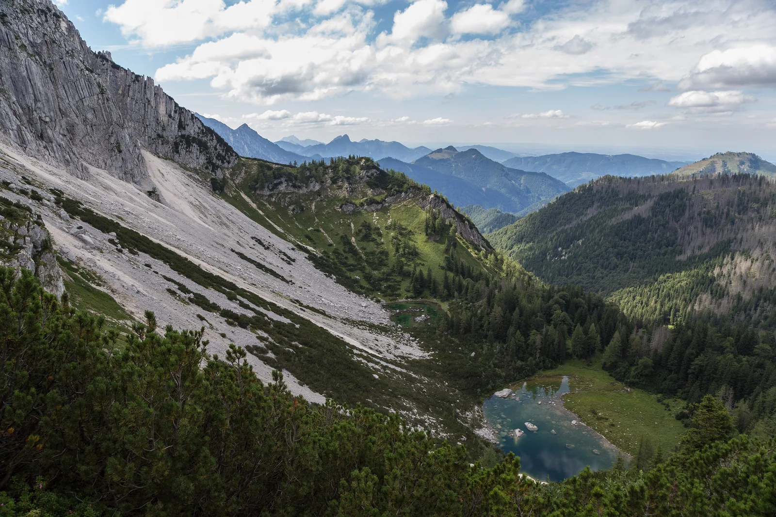 Die Feichtauer Seen im Nationalpark Kalkalpen in einem bewaldeten Kessel unter den Schutthängen des Sengsengebirges
