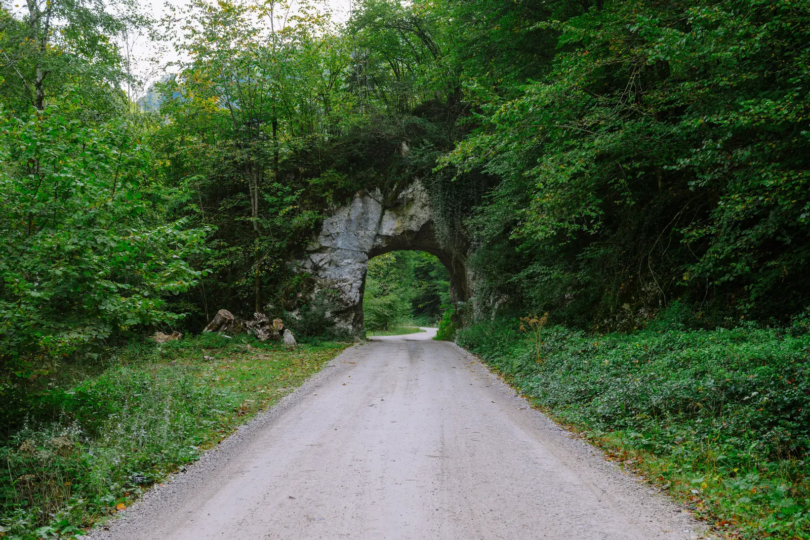 Der Hintergebirgsradweg führt als Schotterstraße durch ein Felstor im Wald des Reichraminger Hintergebirges, dem Zugang zum Nationalpark Kalkalpen