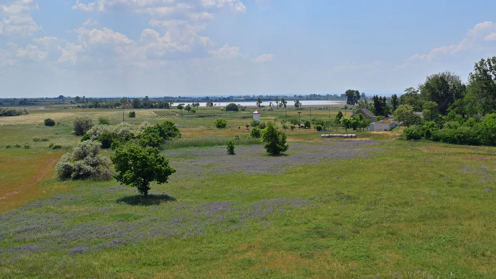 Blick von der Aussichtswarte Hölle über Wiesen, Büsche und eine ausgetrocknete Lacke zum Oberen Stinkersee im Nationalpark Neusiedler See – Seewinkel