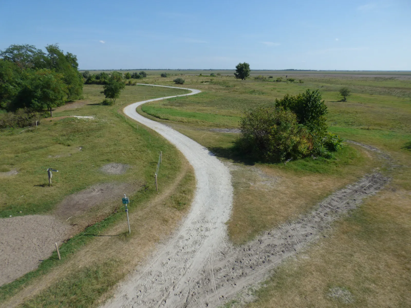 Blick vom Aussichtsturm im Sandeck über Feldweg, Büsche und weite Weideflächen im Nationalpark Neusiedler See – Seewinkel