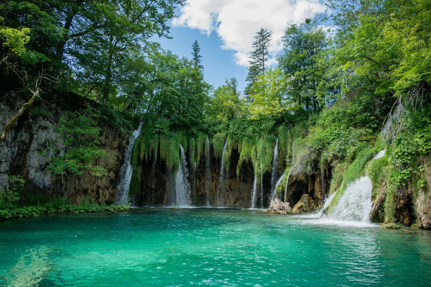 Angebotsfoto: Plitvice am frühen Morgen: Führung ab Eingang 1 zur Parköffnung