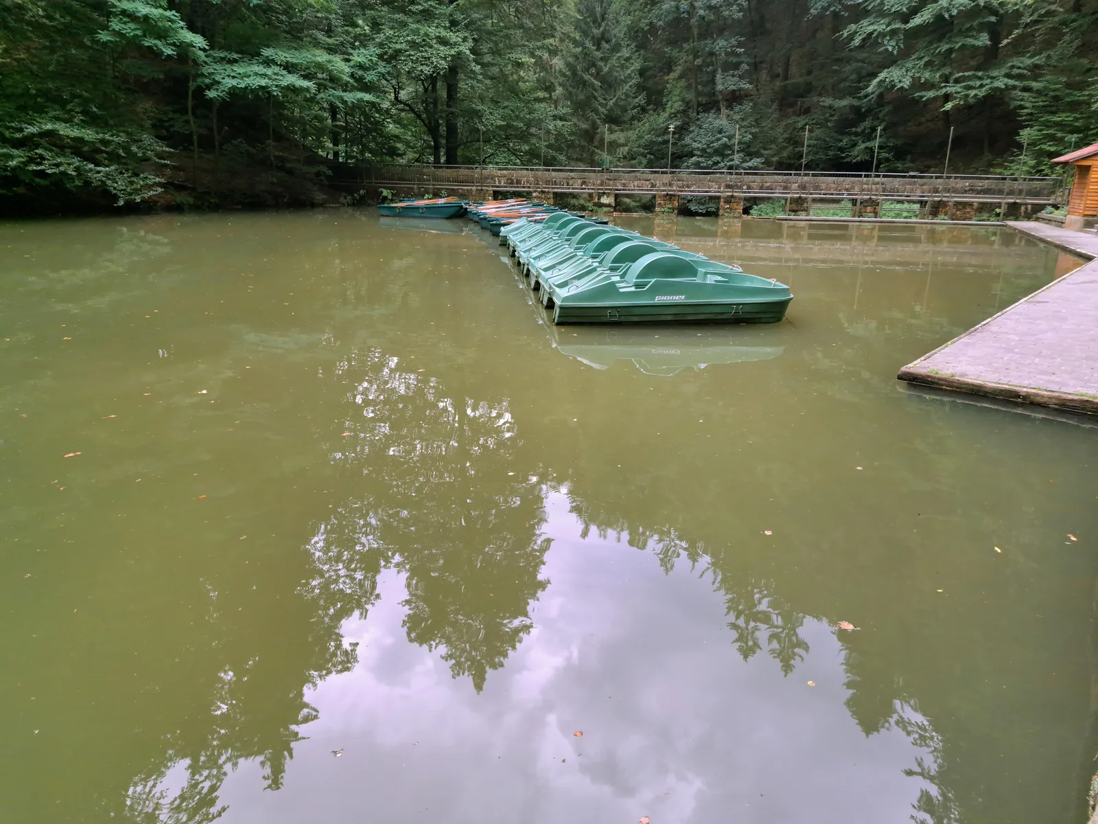 Bootssteg mit Tretbooten am Amselsee