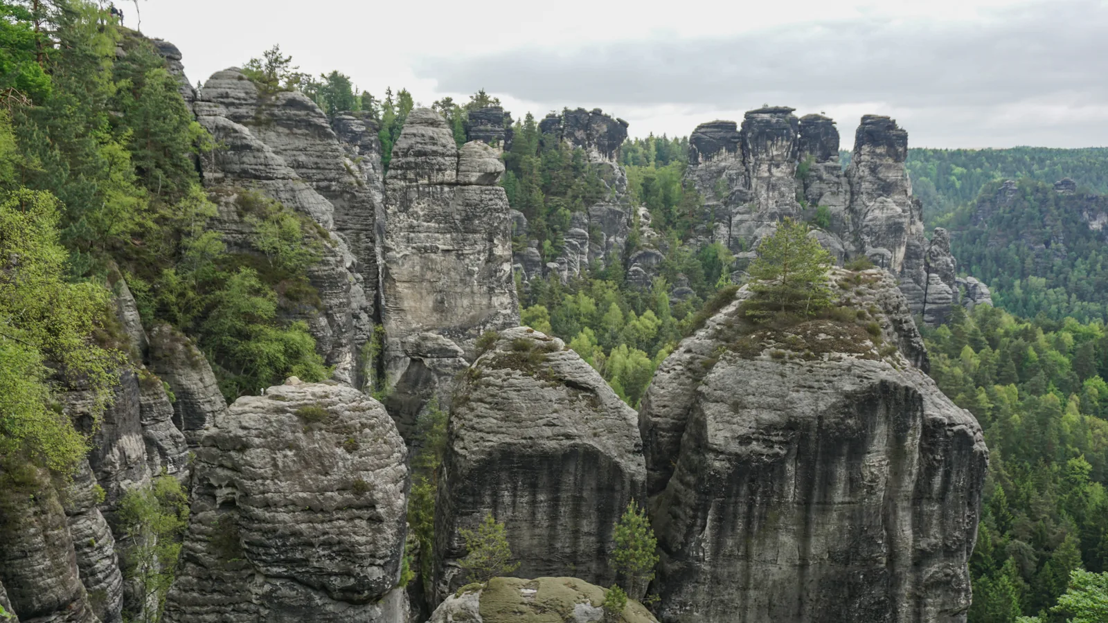 Blick von der Bastei im Nationalpark Sächsische Schweiz über die Felsentürme des Elbsandsteingebirges