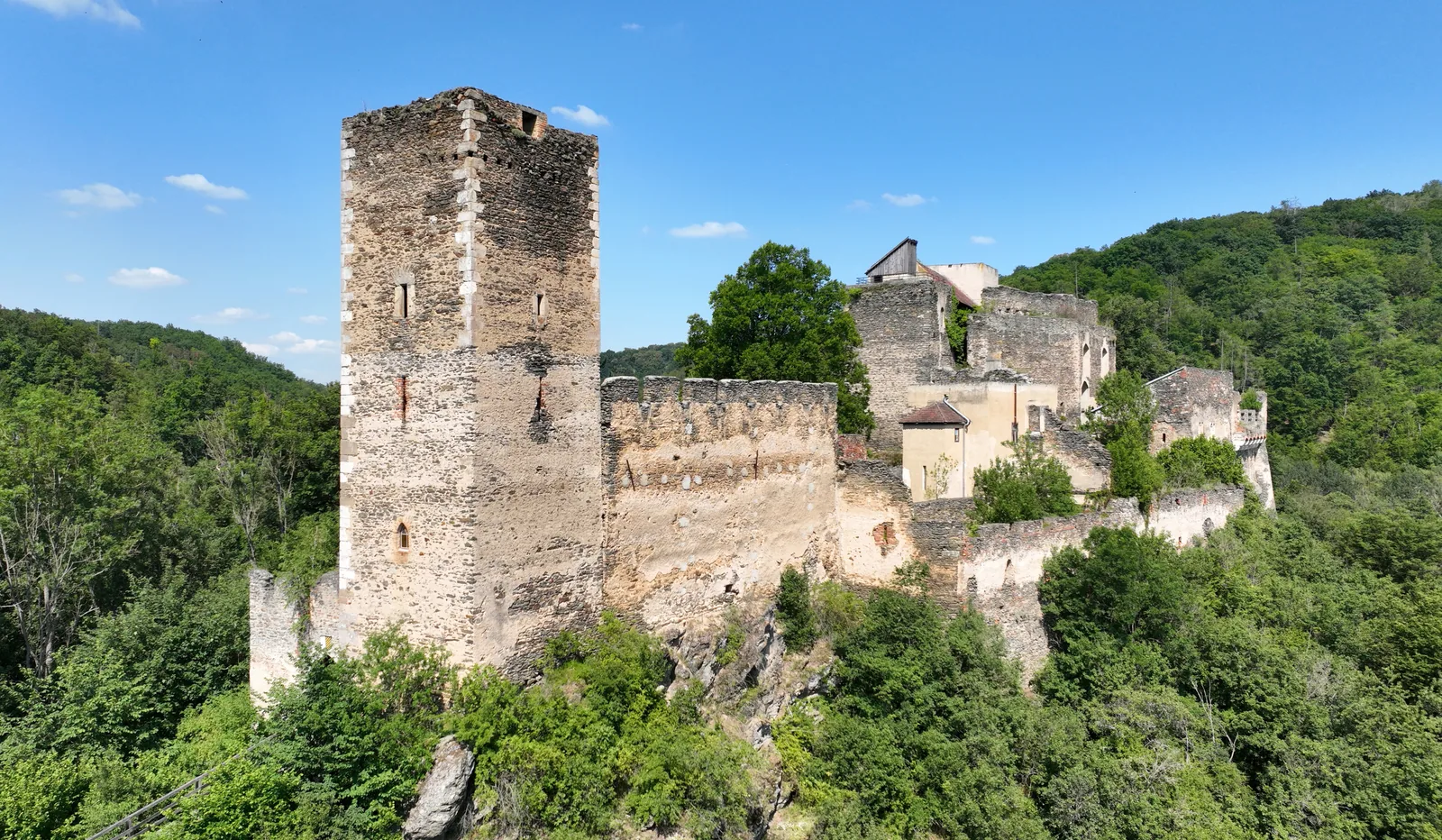 Die Burgruine Kaja mit hohem Bergfried und Mauern über dem Wald des Kajabachtals im Nationalpark Thayatal