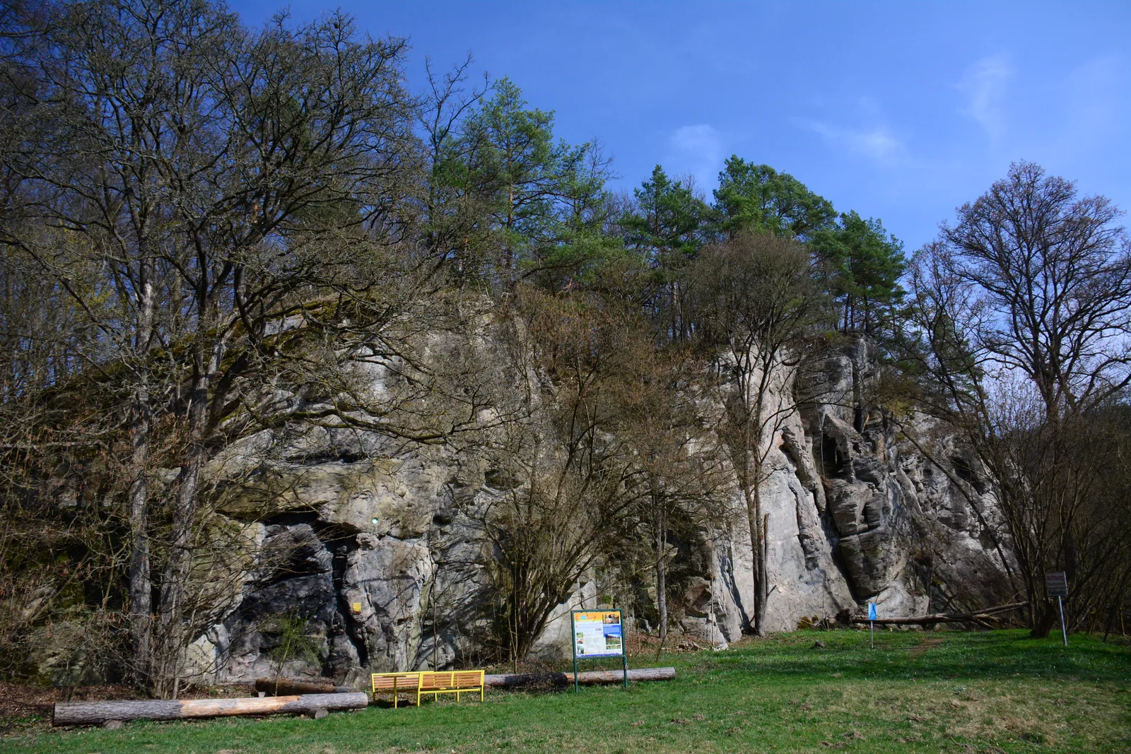 Der Einsiedlerfelsen im Nationalpark Thayatal: graue Felswand mit Höhle hinter der Einsiedlerwiese, davor Rastbänke und eine Infotafel