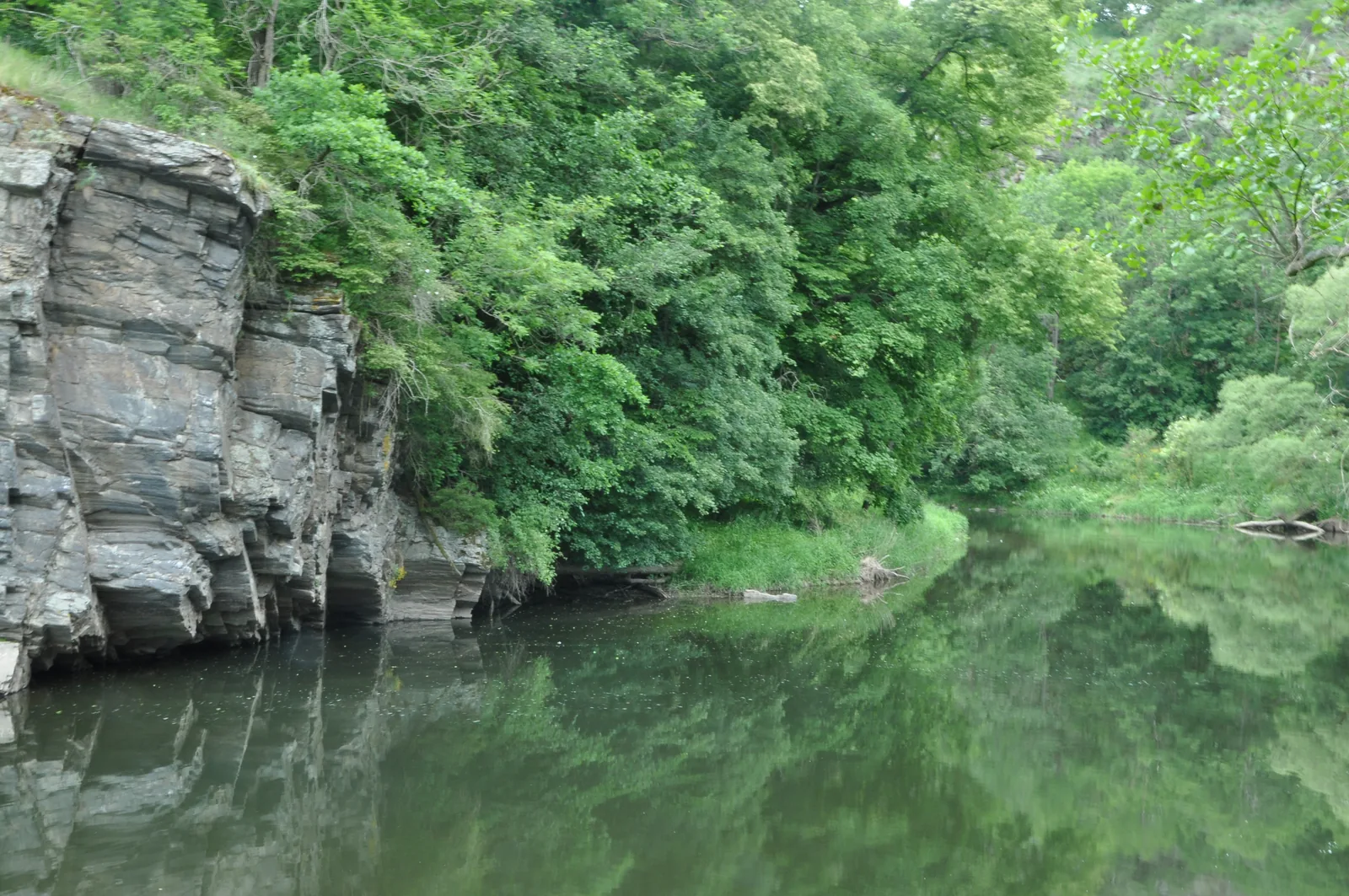Steile graue Felsen am Ufer der Thaya im Nationalpark Thayatal, darüber dichter grüner Wald, der sich im ruhigen Wasser spiegelt