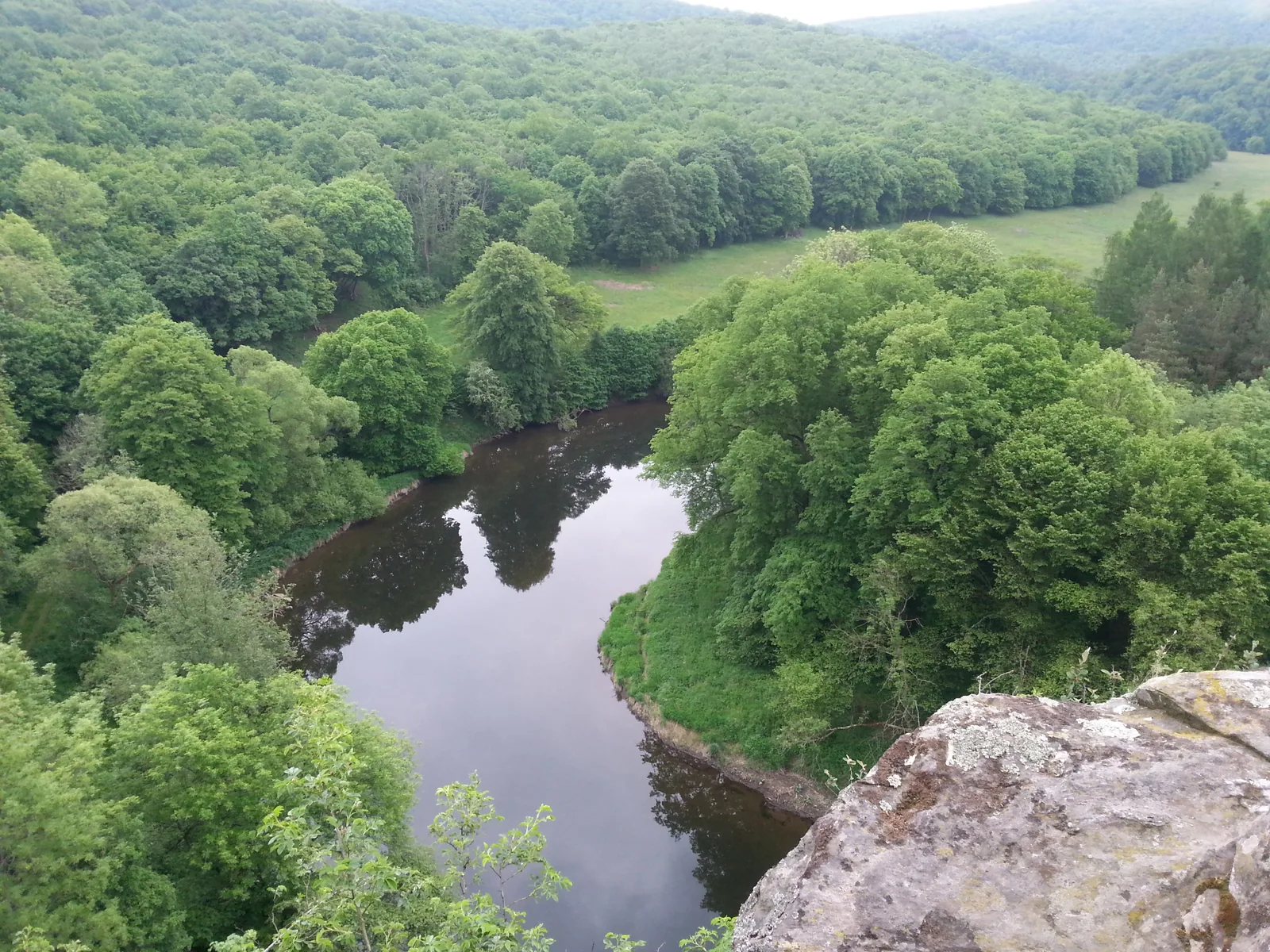 Blick vom Überstieg im Nationalpark Thayatal auf die Flussschlinge der Thaya, die sich zwischen dicht bewaldeten Hängen und einer Wiese windet