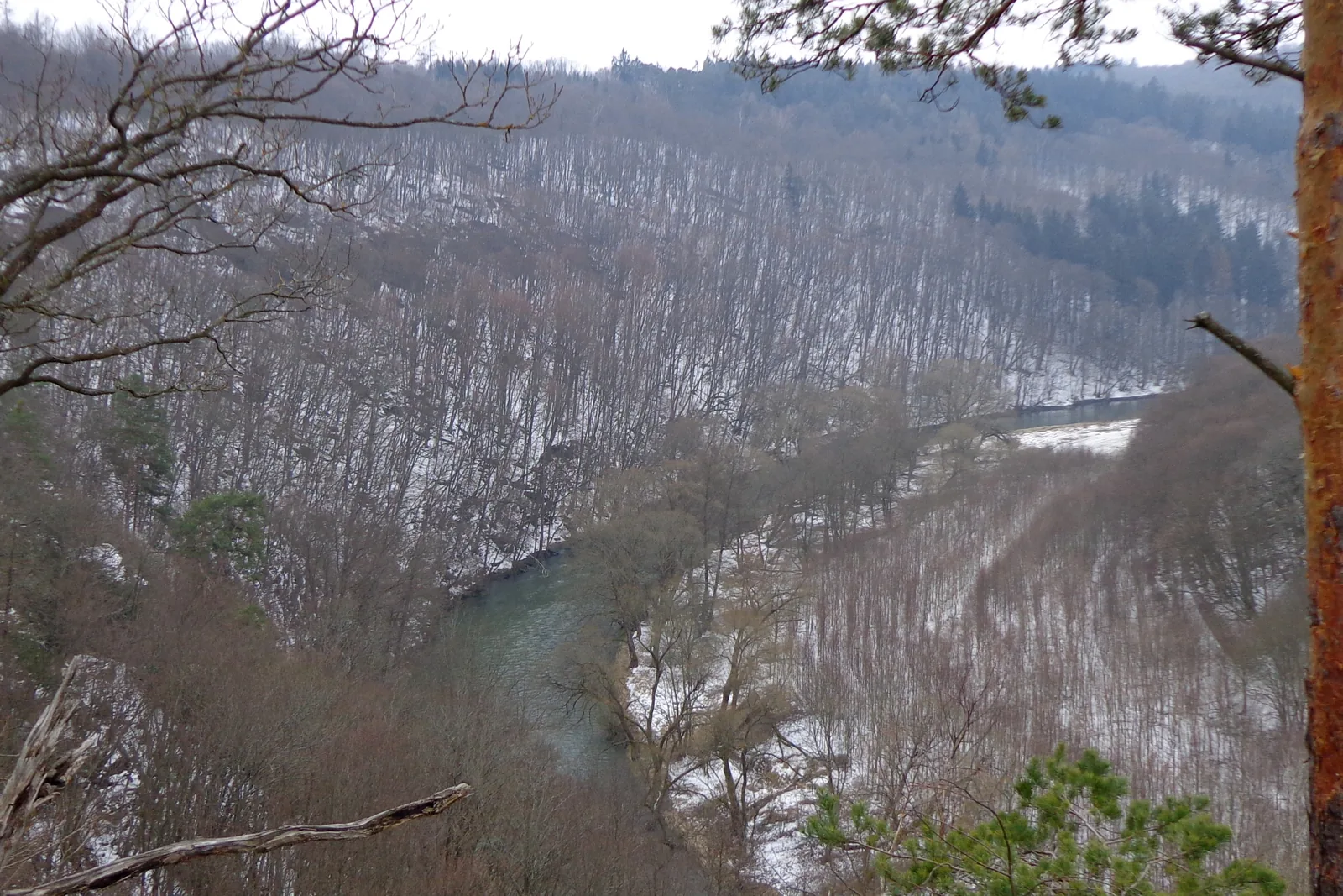 Die Thaya windet sich im Nationalpark Thayatal durch ein bewaldetes Tal mit Raureif, Blick von oben auf die Flussschlinge am Umlaufberg